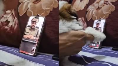 आयडियाची कल्पना! स्कॅमरने पोलीस बनून फोन केला अन् पुढे जे घडलं... पाहा व्हिडीओ