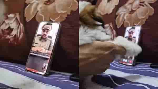 आयडियाची कल्पना! स्कॅमरने पोलीस बनून फोन केला अन् पुढे जे घडलं... पाहा व्हिडीओ