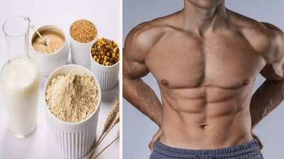 व्हे प्रोटीनमुळे किडनी निकामी होते? तज्ज्ञांकडून जाणून घ्या