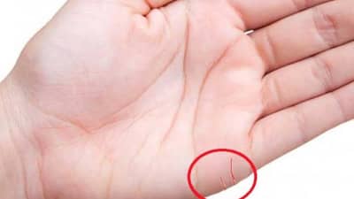 तळहातावरील ‘ही’ रेषा सांगेल तुमच्या लग्नाची भविष्यवाणी, जाणून घ्या