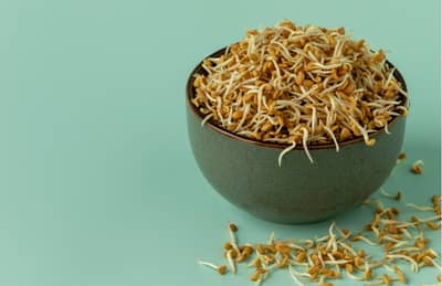 रिकाम्यापोटी मोड आलेल्या मेथीचं सेवन तुमच्या आरोग्यासाठी ठरते लाभदायक