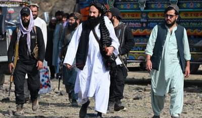 घरांच्या खिडक्या झाकून टाका; तालीबान्यांकडून अफगाणिस्तासाठी आता नवा फतवा, कारण आहे खूपच विचित्र