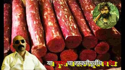 या पुष्पा ची कहाणी तस्कर होण्यापूर्वीच संपली; भैरवसिंग शेखावतने अगोदरच केले कांड, लाल चंदनाची तस्करी अशी फसली