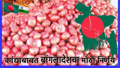 कांदा उत्पादक शेतकरी धोरणात भरडला; आता बांगलादेशाच्या या निर्णयामुळे वाढली डोकेदुखी
