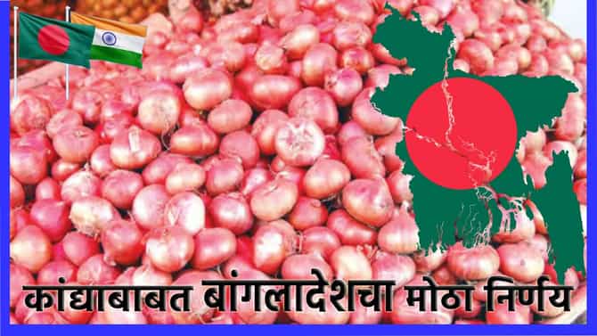 कांदा उत्पादक शेतकरी धोरणात भरडला; आता बांगलादेशाच्या या निर्णयामुळे वाढली डोकेदुखी