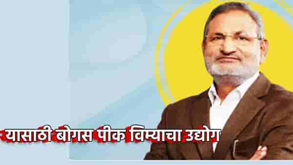 Crop Insurance : बोगस पीक विम्याचा आका कोण? कृषीमंत्री माणिकराव कोकाटे यांचा गौप्यस्फोट, राज्यात इतके लाख अर्ज बाद, सीएसएस सेंटर रडारवर