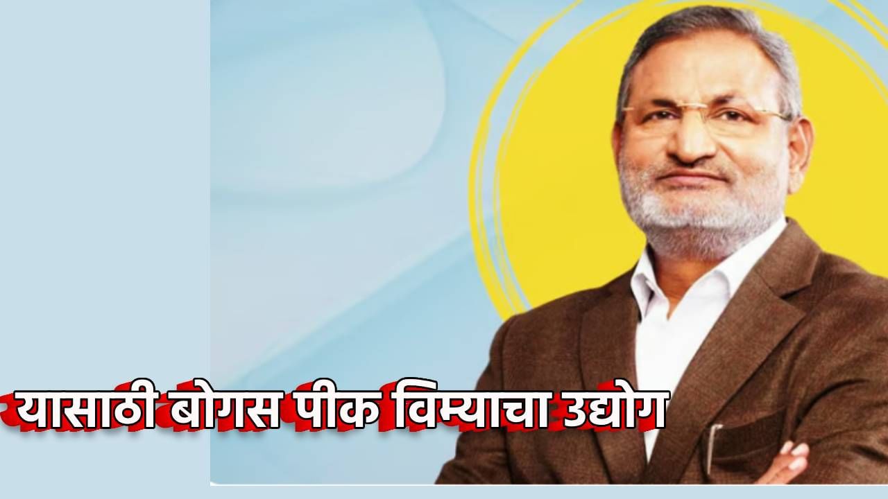 Crop Insurance : बोगस पीक विम्याचा 'आका' कोण? कृषीमंत्री माणिकराव कोकाटे यांचा गौप्यस्फोट, राज्यात इतके लाख अर्ज बाद, सीएसएस सेंटर रडारवर