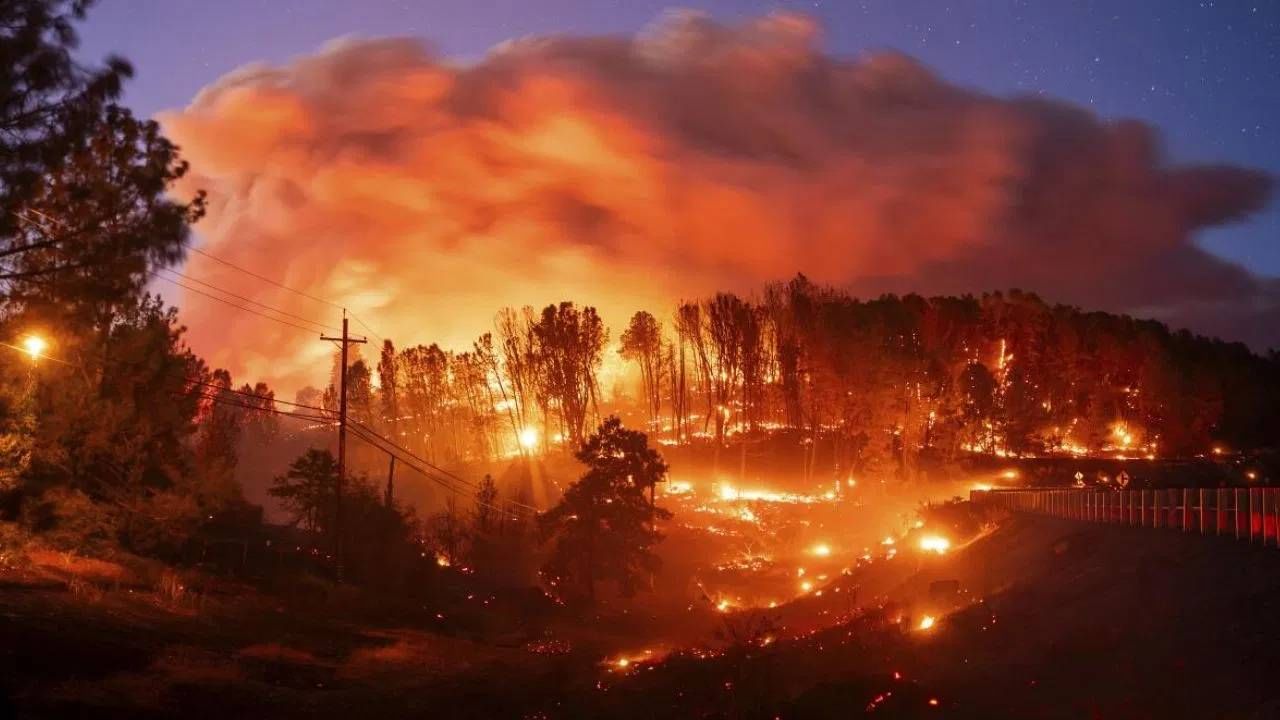 California wildfires :  कॅलिफोर्नियाच्या जंगलात वणवा कशामुळे भडकला? आग विझवण्याचं रिटार्डंट किती घातक?