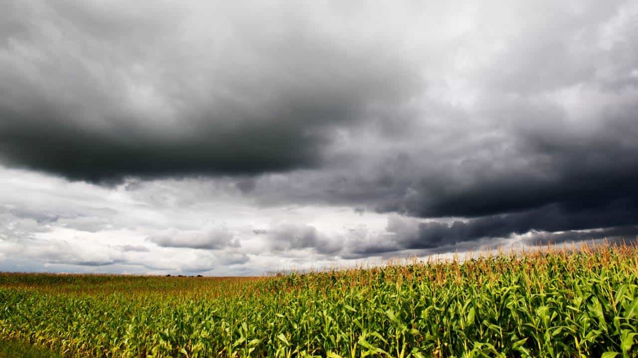 Maharashtra weather Update : बळीराजासाठी पुढील 2 दिवस चिंतेचे... पुन्हा अवकाळीचं सावट, हवामान खात्याचा अंदाज काय?