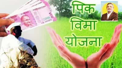 Crop Insurance : 1 रुपयांत पीक विमा योजनेत गैरप्रकार; योजना खरंच बंद होणार? काय म्हणाले राज्याचे कृषीमंत्री
