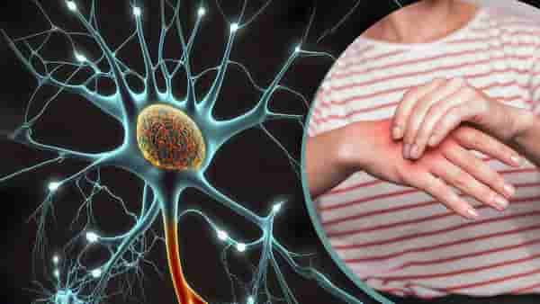 Guillain Barre Syndrome : मोठी बातमी! GBS चा पहिला बळी, पुण्यात तरूणाचा मृत्यू