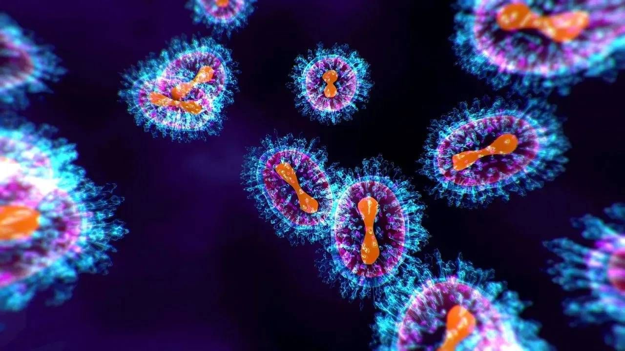 Human Metapneumovirus: आतापर्यंत HMPV चे देशात 6 रुग्ण, केंद्र सरकार सतर्क