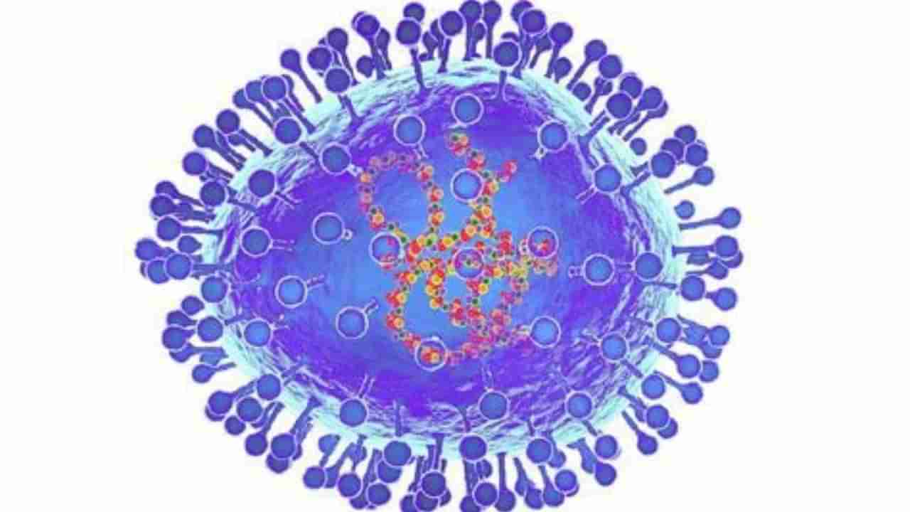 कोरोनासारखे नियम नाही, पण केंद्राकडून सूचना आल्यास... HMVP व्हायरसबद्दल राज्य सरकार काय म्हणाले?