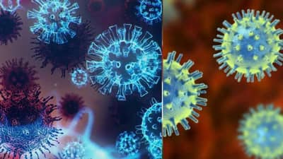 चीनमध्ये HMPV विषाणूचा कहर, नव्या व्हायरसमुळे देशात अलर्ट