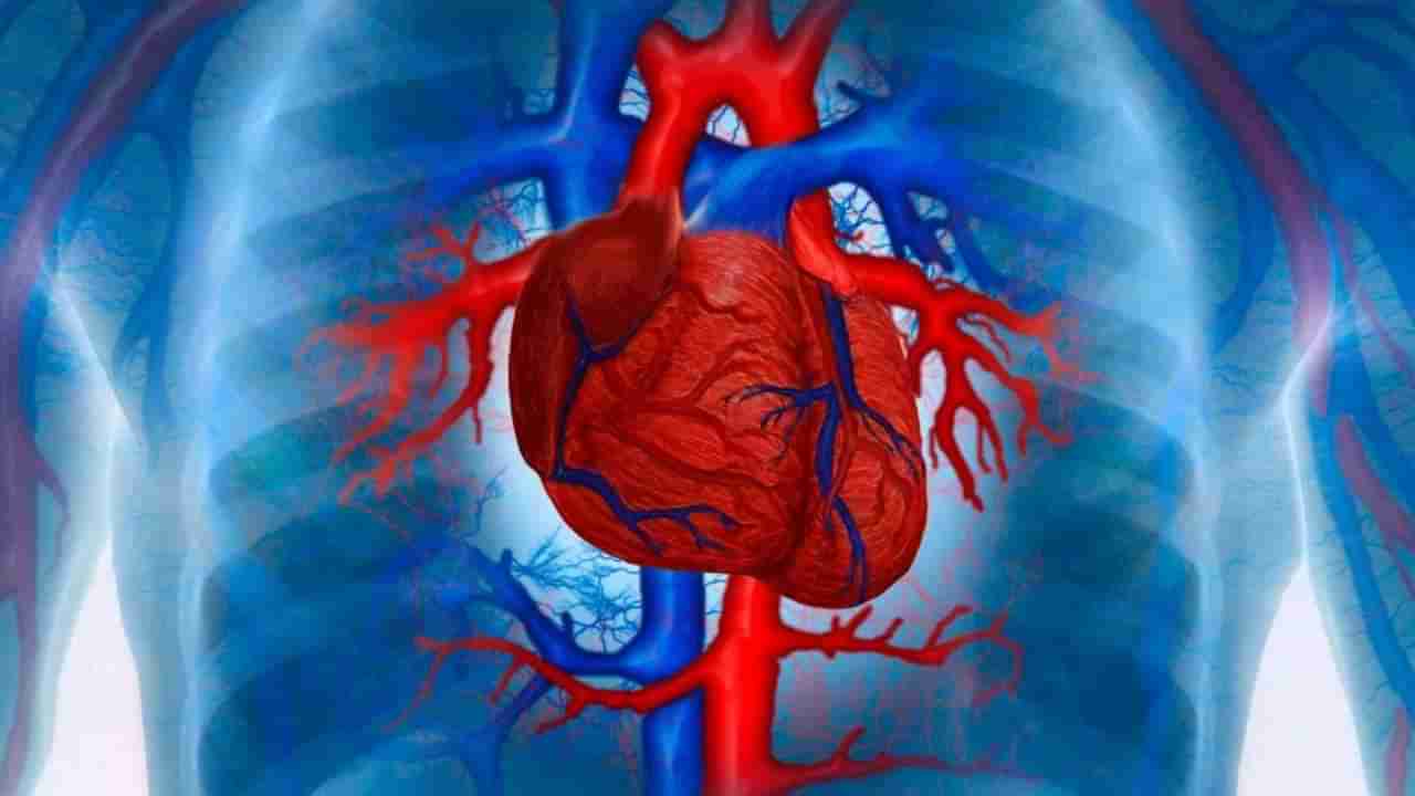 हार्ट ब्लॉकेजची लक्षणे कोणती? जाणून घ्या