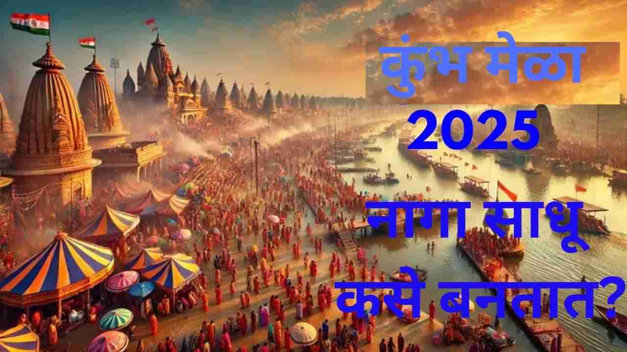 नागा अन् तंगतोडा साधू कोण? IAS पेक्षाही कठीण असते तंगतोड साधूंची परीक्षा, महिला नागासाधू कसे बनतात?