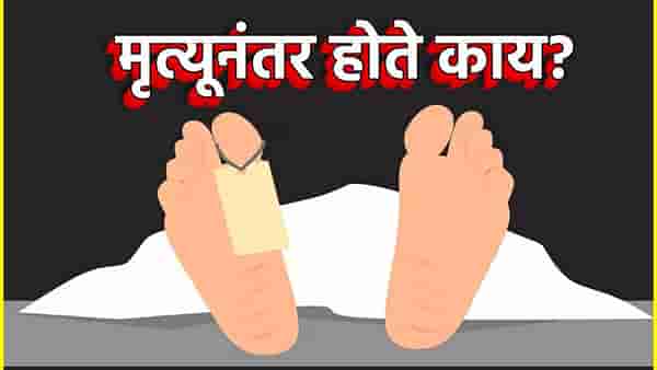 मृत्यूनंतर होते काय? ऑनलाईन सर्च करूनही समाधान नाही, 10 हून अधिक भाषा येणार्या तरुणीच्या कृत्याने हादरले राज्य