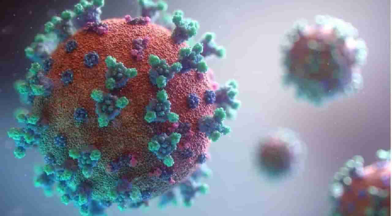 Norovirus : नोरोव्हायरसने महासत्तेला धोका, काय आहेत लक्षणे आणि बचाव ?