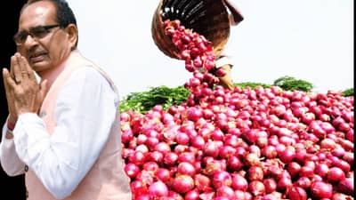 Onion Farmer : केंद्रीय कृषी मंत्री आले नि तोंडाला पानं पुसून गेले, कांदा उत्पादक शेतकर्‍यांच्या पदरी निराशाच
