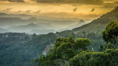 व्हॅलेंटाईन वीकमध्ये पार्टनरसोबत फिरण्यासाठी साऊथ इंडिया मधील ही ठिकाणे सर्वोत्तम...