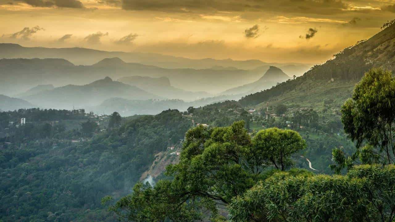 व्हॅलेंटाईन वीकमध्ये पार्टनरसोबत फिरण्यासाठी साऊथ इंडिया मधील ही ठिकाणे सर्वोत्तम...
