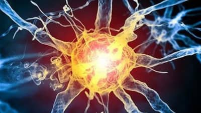 पुण्यात का वाढताय GBS मृत्यू, जीबीएसचा राज्यातील इतर भागातही प्रसार