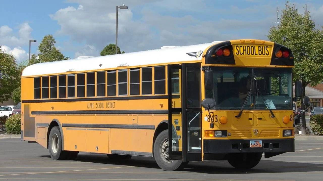 खरंतर, सुरक्षेच्या कारणास्तव स्कूल बसचा रंग पिवळा ठेवला जातो. असे मानले जाते की पिवळा रंग दुरूनही सहज दिसतो. तसेच, पाऊस असो की धुकं, रात्र असो की दिवस, पिवळ्या रंगाची बस सहज दिसते, त्यामुळे अपघाताचा धोका खूपच कमी असतो. सुप्रीम कोर्टाने स्कूल बससाठी विविध प्रकारची मार्गदर्शक तत्त्वे जारी केली आहेत, त्यानुसार सर्व शाळांना स्कूल बसला पिवळ्या रंगाने (Yellow Color) रंग देणे बंधनकारक आहे.