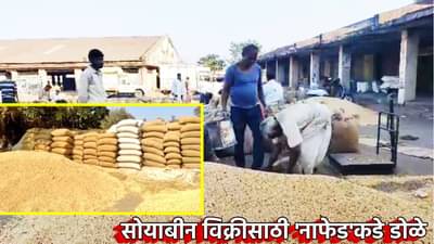 तांत्रिक अडचणीने हजारो शेतकर्‍यांचा जीव टांगणीला; सोयाबीन विक्रीसाठी नाफेडकडे डोळे