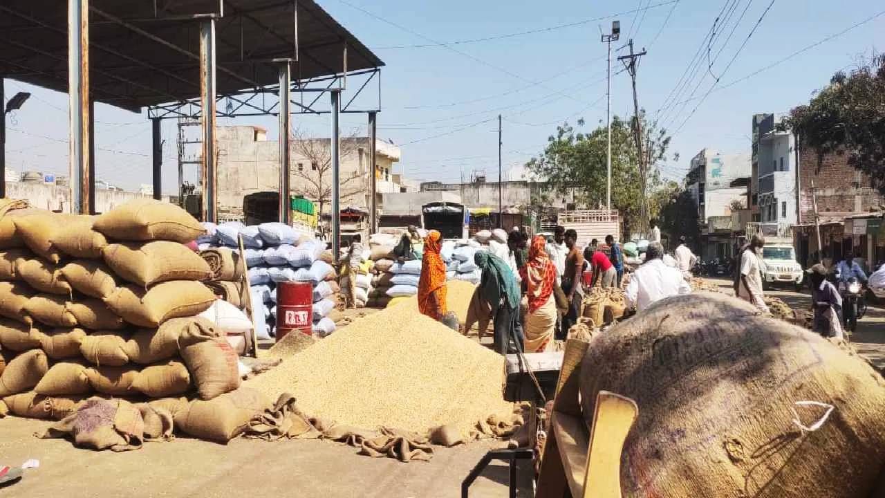 सोयाबीनचे दर कोसळत असल्याने शेतकरी नाराज आहेत. त्यांना सोयाबीनला जादा दर हवा आहे. त्याकडे सरकारने लक्ष देण्याची मागणी जोर धरू लागली आहे. गेल्या तीन वर्षाचा विचार करता, सोयाबीनच्या दरात 31 टक्क्यांनी घसरण झाल्याचे दिसून आले आहे.