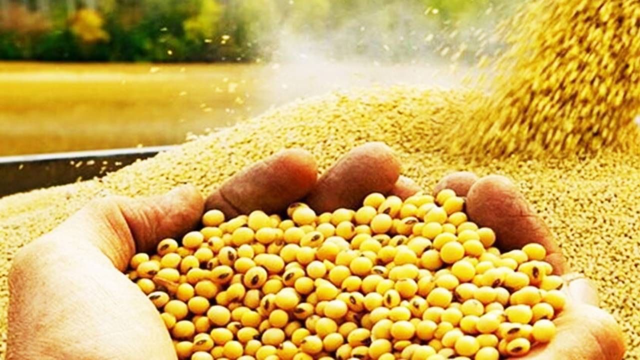 सोयाबीन शेतकर्यांना सरकारने मोठा दिलासा दिला आहे. सोयाबीन खरेदीची मुदत आज संपणार असल्याने खरेदी केंद्रांवर एकच गर्दी उसळली होती. आता केंद्र सरकारने सोयाबीन खरेदीची मुदत वाढवली आहे.