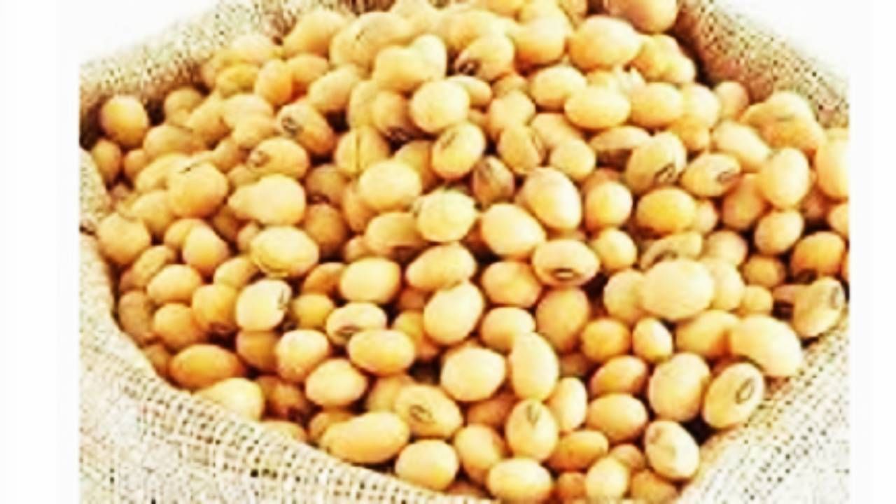 सोयाबीन खरेदीला सात दिवसांची मुदत वाढ देण्यात आली आहे. 7 फेब्रुवारीपर्यंत सोयाबीन खरेदीची मुदत वाढली आहे. पणन मंत्री जयकुमार रावल यांनी केंद्रीय कृषिमंत्री शिवराज सिंह चौहान यांची भेट घेतल्यानंतर आता मुदत वाढ मिळाली.