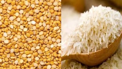 डाळ आणि भातामध्ये किडे पडणार नाही, किचनच्या या सोप्या ट्रिक्स करून बघा