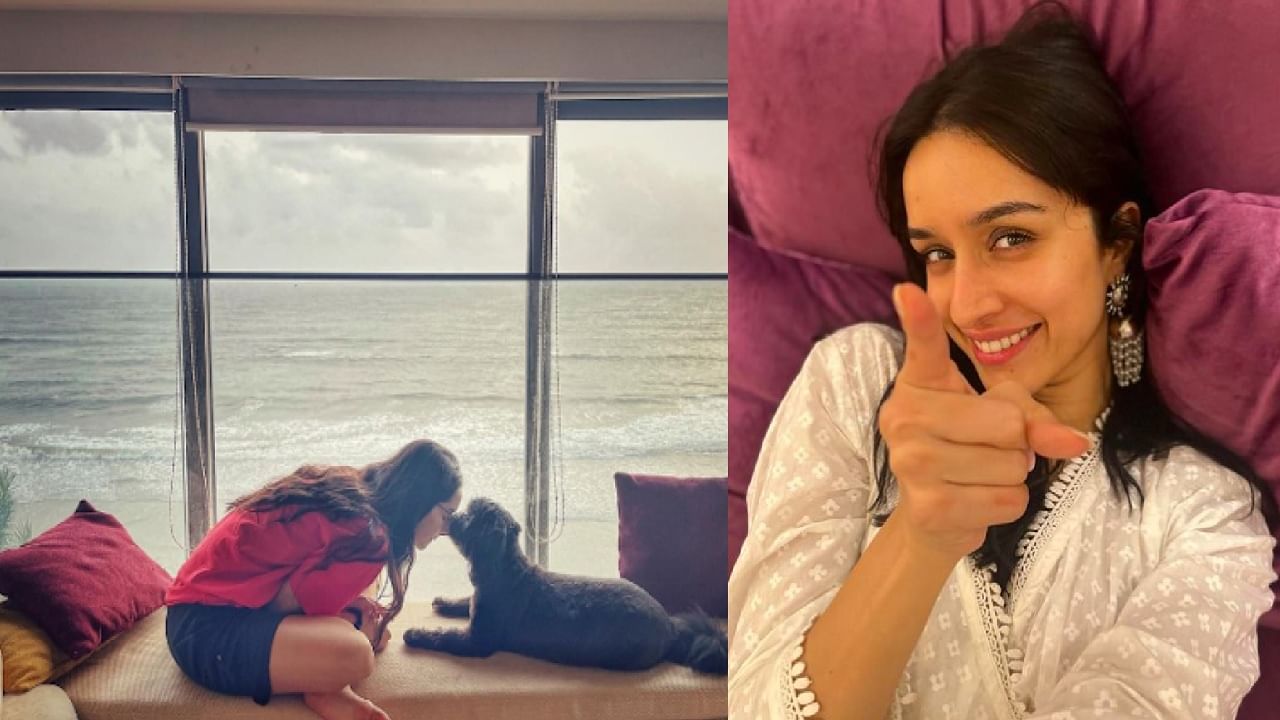 आलिशान कारनंतर आता श्रद्धा कपूरने खरेदी केलं लक्झरी अपार्टमेंट; किंमत ऐकून धक्का बसेल आलिशान कारनंतर आता श्रद्धा कपूरने खरेदी केलं लक्झरी अपार्टमेंट; किंमत ऐकून धक्का बसेल