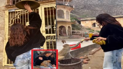 बिस्किट देताच माकडाचं पिल्लू बॉलिवूड अभिनेत्रीच्या मांडीवर येऊन बसलं अन्...; व्हिडिओ व्हायरल