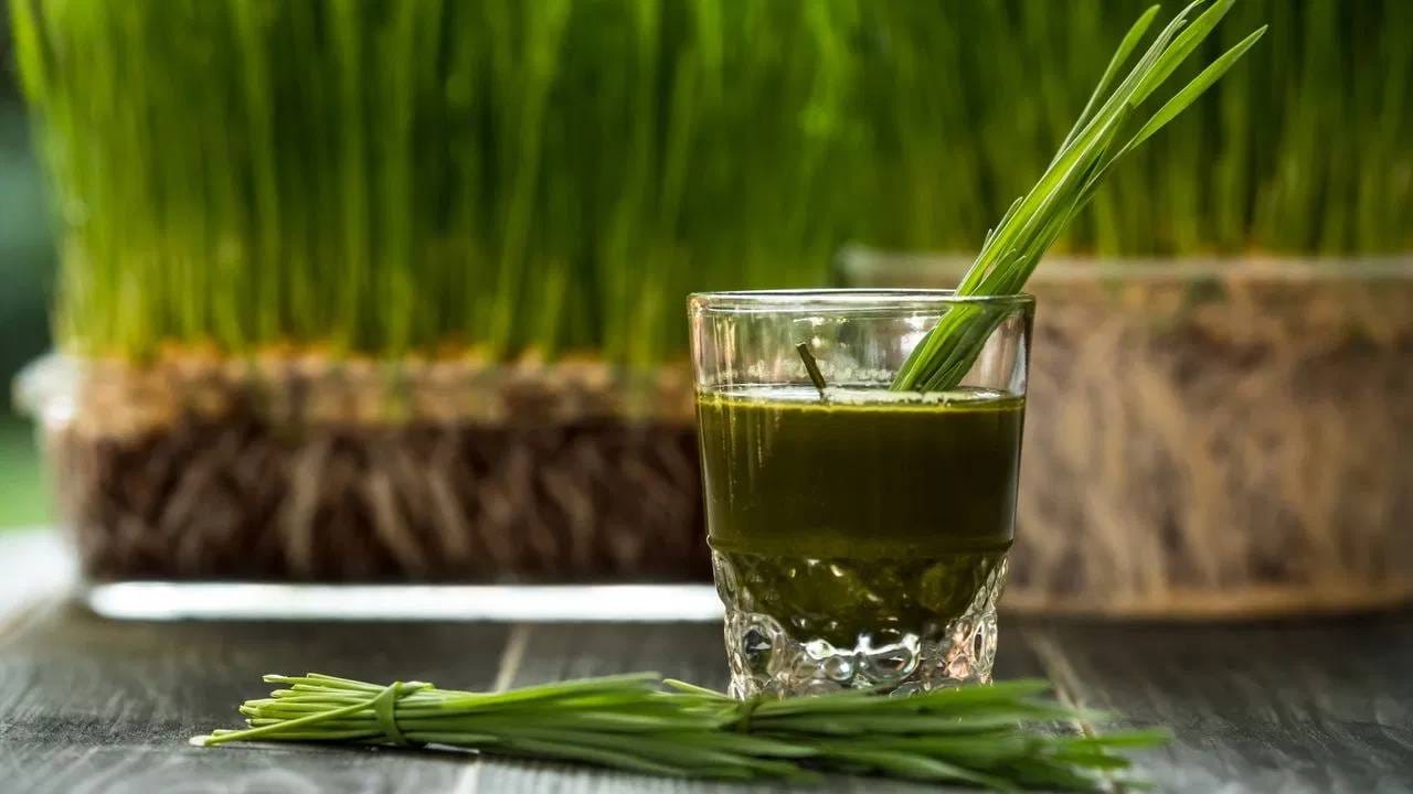गव्हाच्या गवताचा रस त्वचेचे आरोग्य सुधारण्यास मदत करतो. त्वचेचा टोन सुधारतो आणि सुरकुत्या कमी होतात. तसेच मुरुमांवर नियंत्रण ठेवते. तसेच रक्त शुद्ध करते.