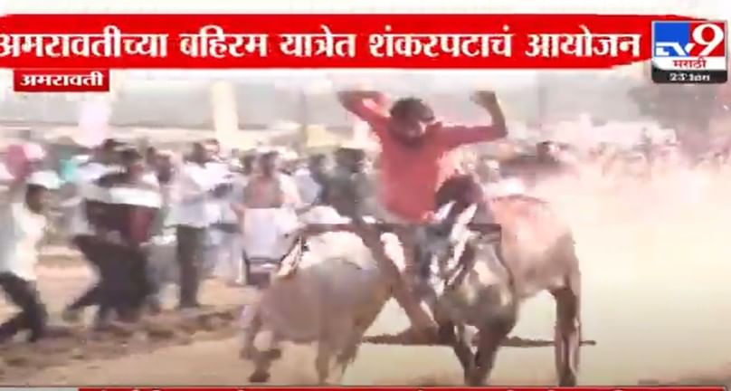 हम चलते तो चिता की रफ्तार से चलते... बच्चू कडू यांचा सूचक इशारा; सुस्साट बैलगाडीही हाकली
