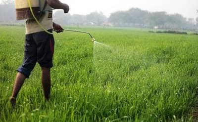 Budget 2025: कीटकनाशकांवरील GST सरकार कमी करणार? कृषी क्षेत्राच्या अपेक्षा जाणून घ्या