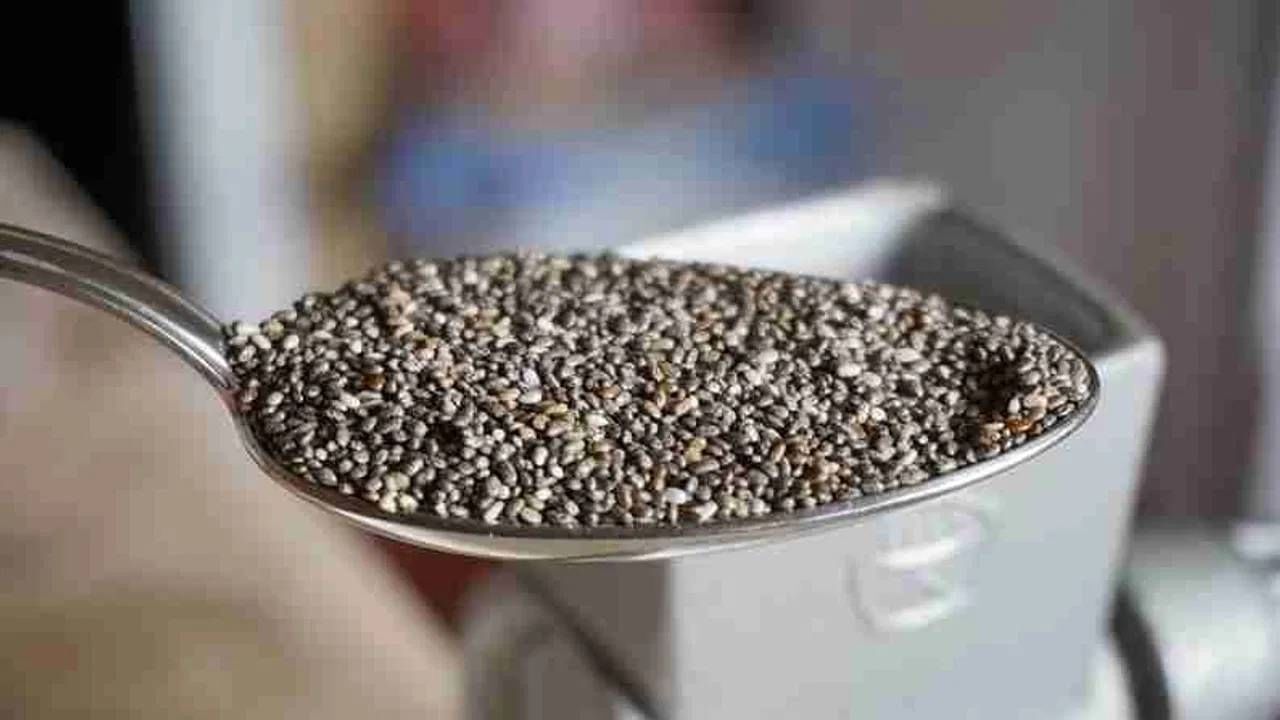 Chia Seeds Sideeffects: चिया सिड्सचे सेवन आरोग्यासाठी धोकादायक...! होतील 'हे' गंभीर आजार