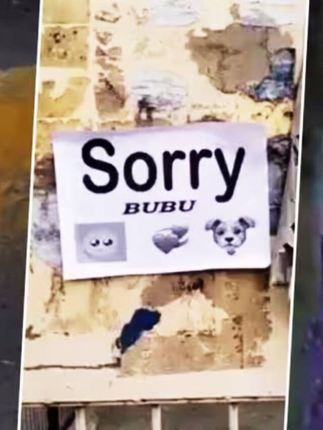 ‘Sorry BuBu’ पोस्टरने अनेक शहरात धुमाकूळ; पोलीस छडा लावणार