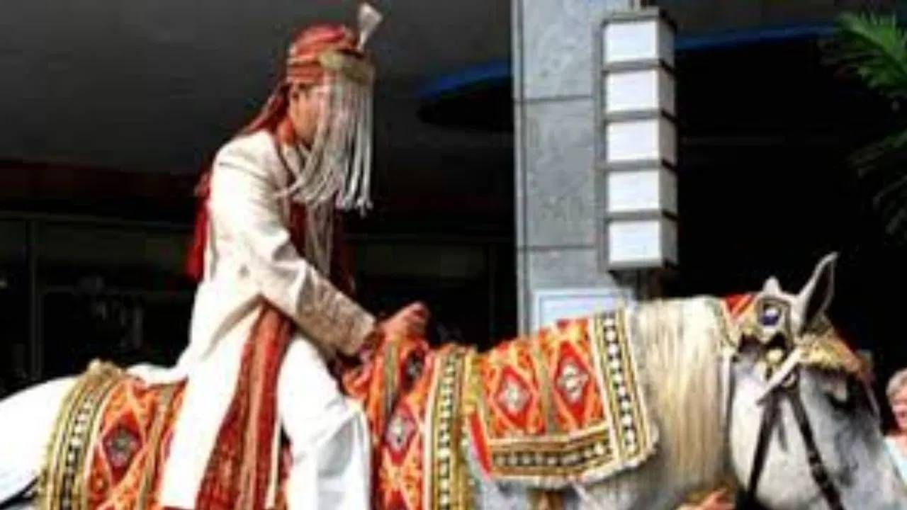 नवरदेव घोडीवर बसून का येतो? घोड्यावर का नाही?; या परंपरेचं रहस्य काय? नवरदेव घोडीवर बसून का येतो? घोड्यावर का नाही?; या परंपरेचं रहस्य काय?