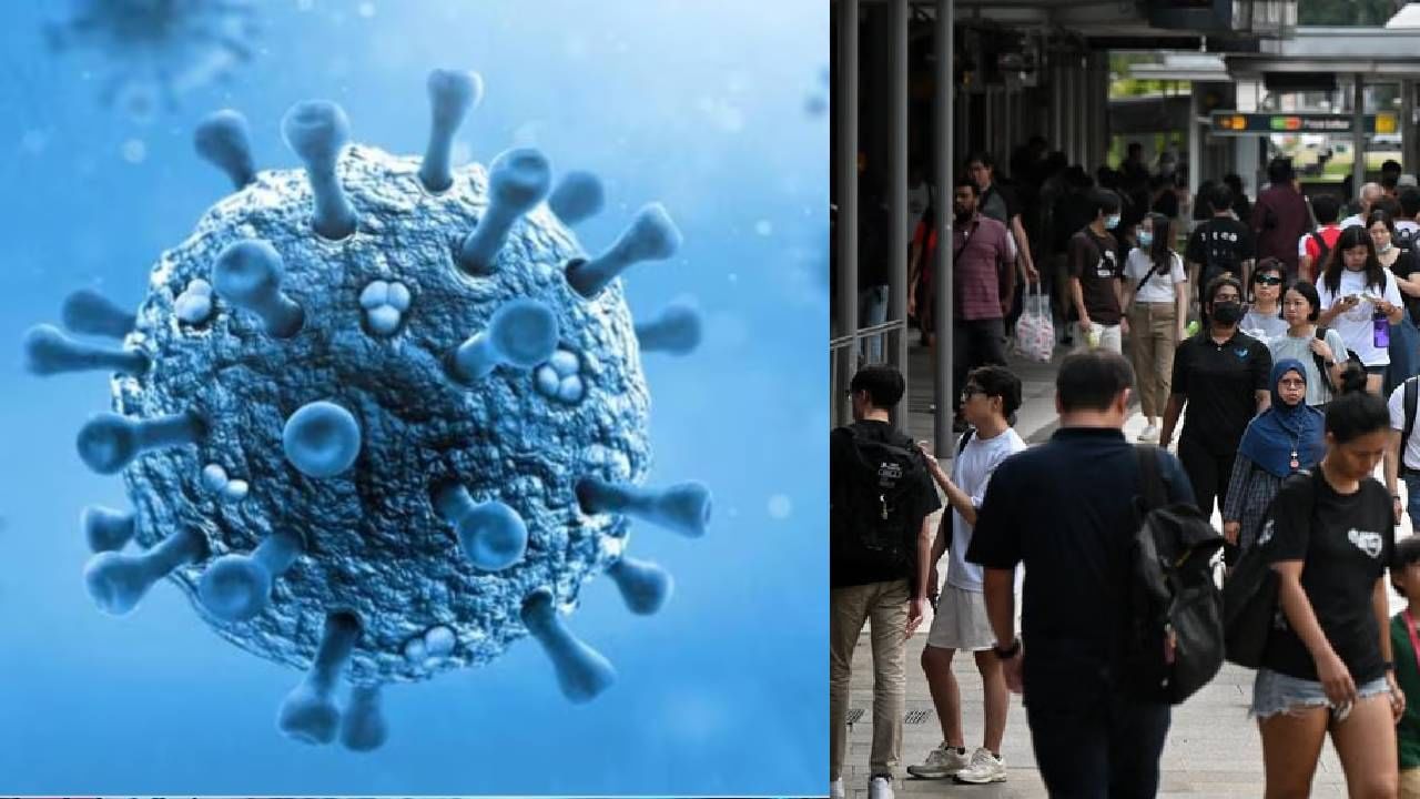 HMPV Virus पासून सुरक्षित राहण्यासाठी काय कराल? नाकापासून फोनपर्यंत खबरदारी काय?