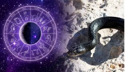 मौनी अमावस्येला अवश्य करा हे उपाय, कालसर्प दोषापासून मिळेल कायमची मुक्ती