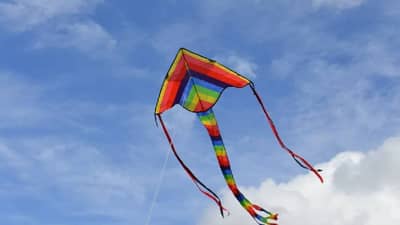 Nashik News : पतंग उडवताना गच्चीवरून गेला तोल, 8 वर्षांच्या मुलाचा मृत्यू