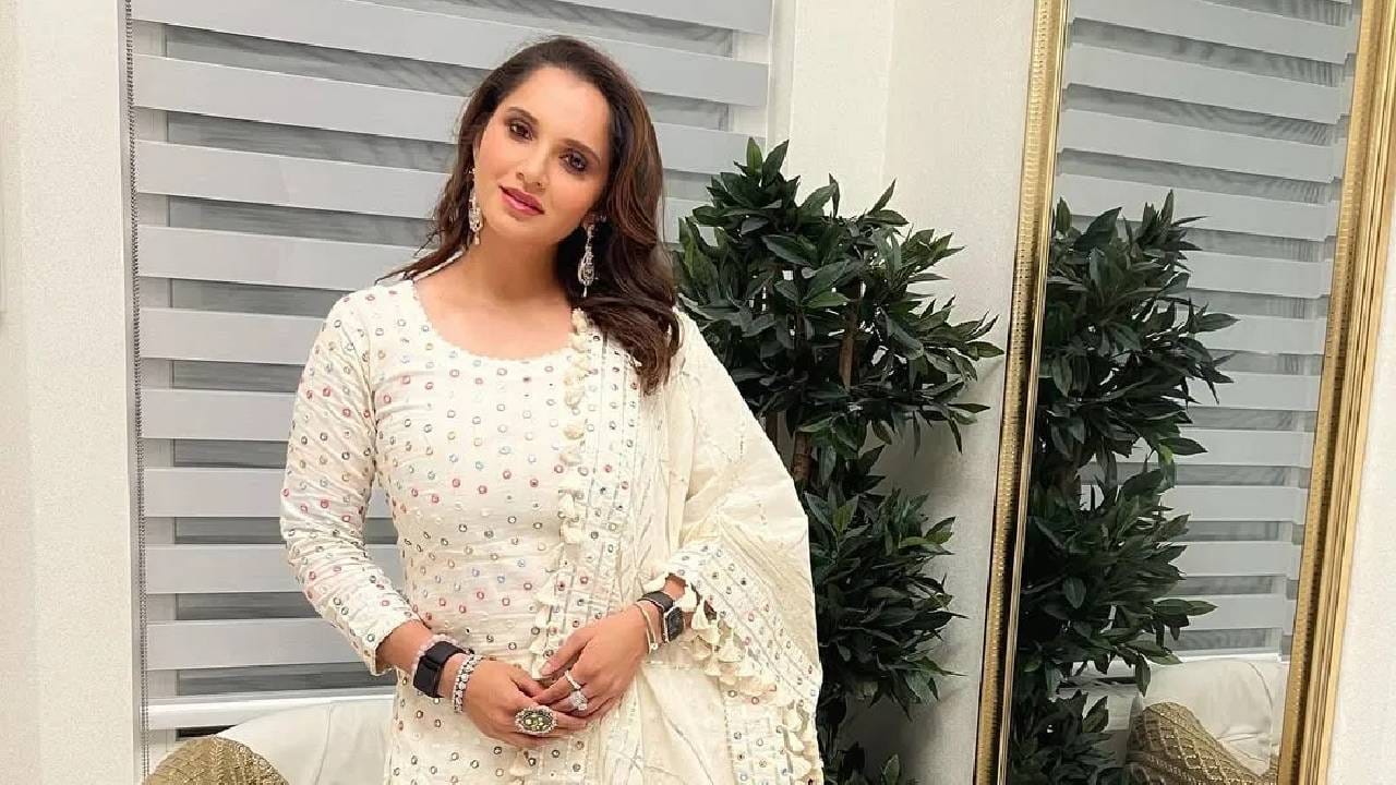 सानिया मिर्झा पब्लिक अपीरियंसमध्ये दिसते. टेलिविजय अपीरियन्समधूनही ती पैसा कमावते. सानिया मिर्झा एशियन पेंटस, लॅक्मे, डेन्यूब प्रॉपर्टीज आणि हर्षे सारख्या ब्रांड्सचा प्रचार करते. 