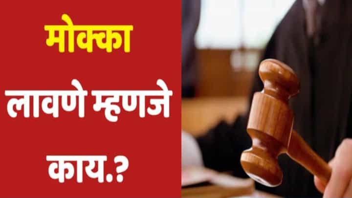 Mcoca Act : संतोष देशमुख हत्या प्रकरणात 8 आरोपींवर मकोका, पण मकोका म्हणजे नेमकं काय? Mcoca Act : संतोष देशमुख हत्या प्रकरणात 8 आरोपींवर मकोका, पण मकोका म्हणजे नेमकं काय?