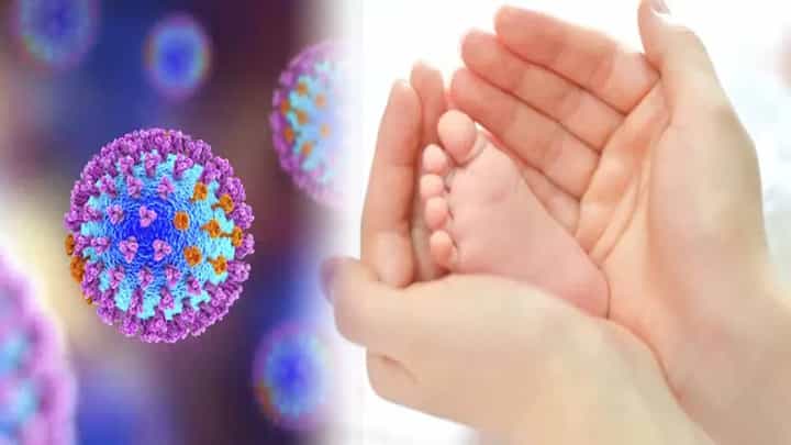HMPV in Maharashtra : मुंबईकरांची चिंता वाढली; ह्युमन मेटान्यूमो नव्या व्हायरसचा शिरकाव, 6 महिन्याचं बाळ पॉझिटीव्ह HMPV in Maharashtra : मुंबईकरांची चिंता वाढली; ह्युमन मेटान्यूमो नव्या व्हायरसचा शिरकाव, 6 महिन्याचं बाळ पॉझिटीव्ह