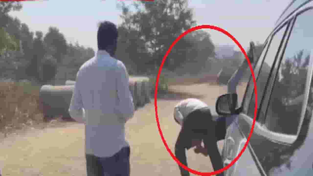 उचलून आदळलं, बेदम मारलं... राष्ट्रवादीच्या नगरसेवकाकडून जेष्ठ नागरिकाला बेदम मारहाण, व्हायरल व्हिडीओ; अजित दादा म्हणाले...