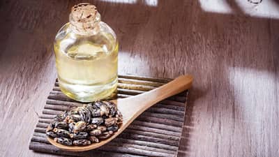 Skincare Oil: कमी वयात चेहऱ्यावर सुरकुत्या दिसतात? झोपण्यापूर्वी या तेलाचा वापर ठरेल फायदेशीर...