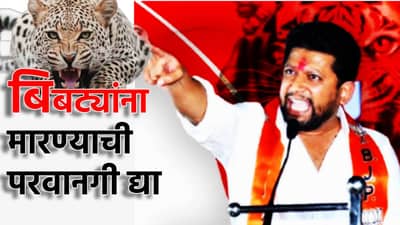 बस्स झालं, बिबट्यांना मारण्याची परवानगी द्या, कोर्टाचा दरवाजा ठोठावणार, सुजय विखे यांनी संतापाला मोकळी करुन दिली अशी वाट