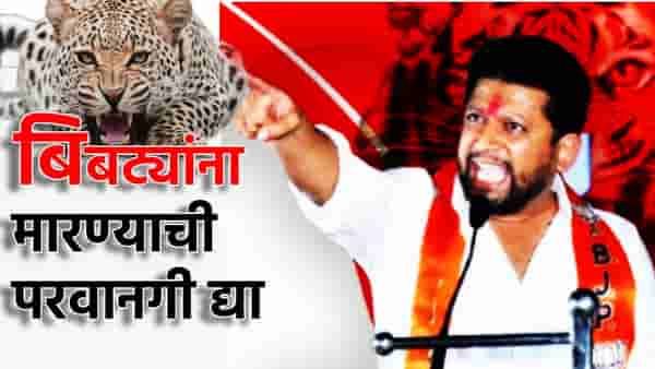 बस्स झालं, बिबट्यांना मारण्याची परवानगी द्या, कोर्टाचा दरवाजा ठोठावणार, सुजय विखे यांनी संतापाला मोकळी करुन दिली अशी वाट